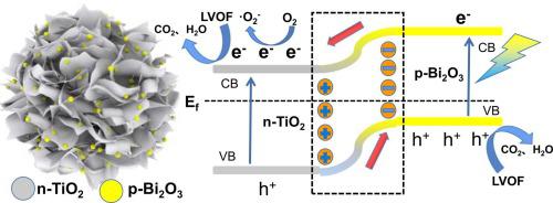 Constructing Flower-like TiO2/Bi2O3 P-n Heterojunction With Enhanced ...