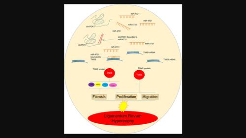 Photo-Enhanced Chemo-Transistor Platform for Ultrasensitive Assay