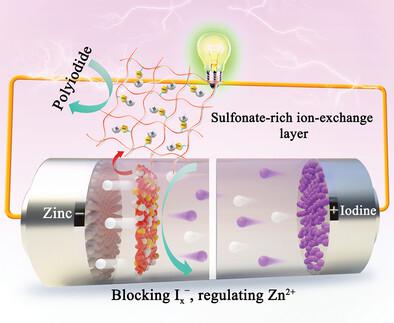 Tuning Ion Transport At The Anode-Electrolyte Interface Via A Sulfonate ...