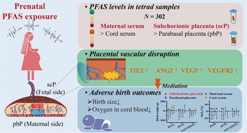 Domestic Dogs and Horses as Sentinels of Per- and Polyfluoroalkyl