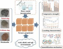 Heavy metals immobilization of ternary geopolymer based on nickel slag ...