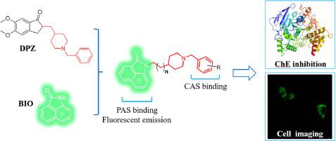 Design Synthesis And Evaluation Of Benzo Cd Indol H One Donepezil Hybrids As Cholinesterase