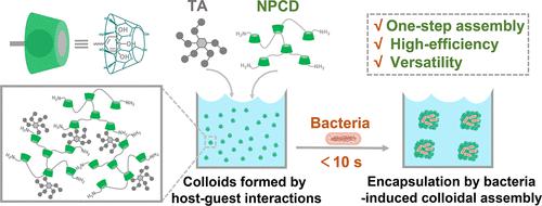 Bacteria-Induced Colloidal Encapsulation For Probiotic Oral Delivery