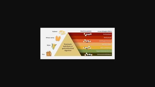 Spectrum Of Bioactivities Demonstrated By Numerous Marine Derived