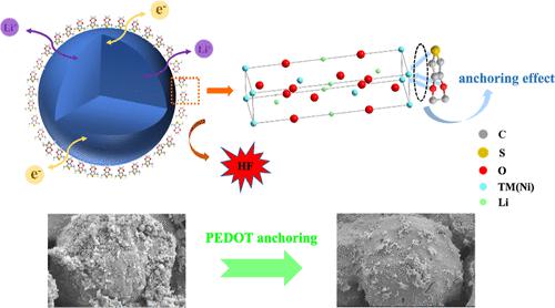 In Situ Polymerization Anchoring Effect Enhancing The Structural ...