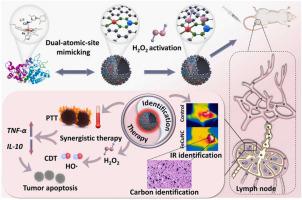 Biomimetic Fe-Cu Dual-atomic-site Catalysts Enable Efficient H2O2 ...