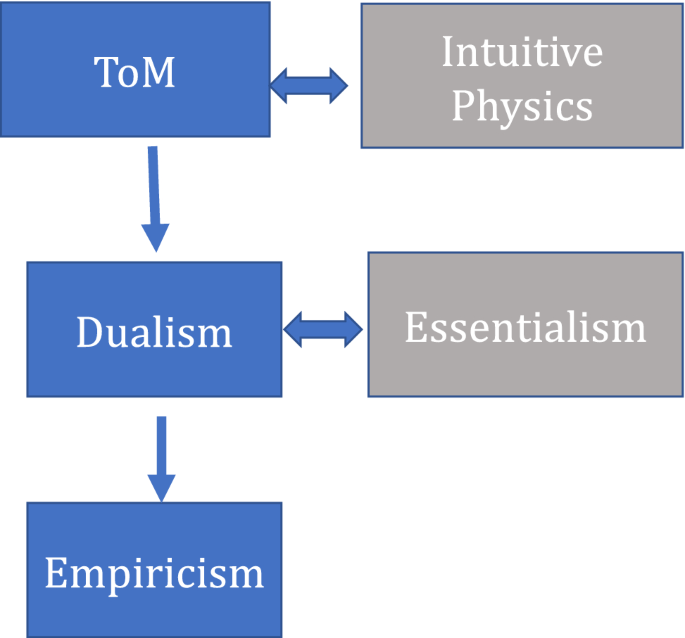 The illusion of the mind–body divide is attenuated in males