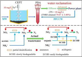 Low-carbon Nitrogen Removal From Power Plants Circulating Cooling Water ...