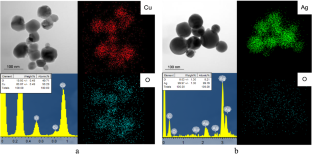 CuO-Ag Janus 类纳米粒子对重组菌株大肠杆菌的抗菌活性,Archives Of Microbiology - X-MOL