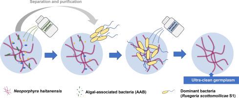 Sodium butyrate alleviates R97-116 peptide-induced myasthenia