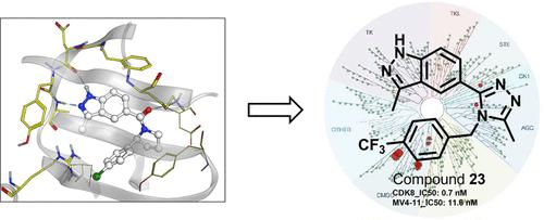 Discovery Of Potent Selective And Orally Bioavailable Small Molecule