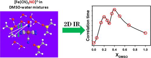 2D-IR Spectroscopy Of Nitrosyl Stretch Of Sodium Nitroprusside Reveals ...