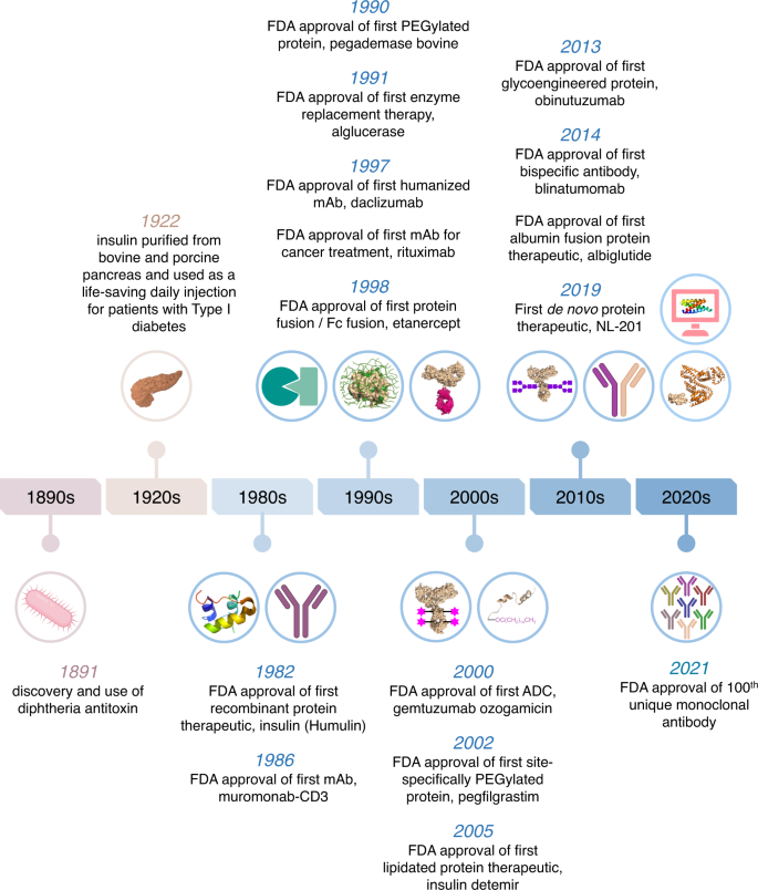 Engineering Protein-based Therapeutics Through Structural And Chemical ...