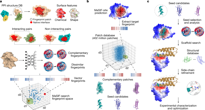 De Novo Design Of Protein Interactions With Learned Surface ...