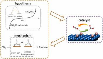 An Interactive Study Of Catalyst And Mechanism For Electrochemical CO2 ...