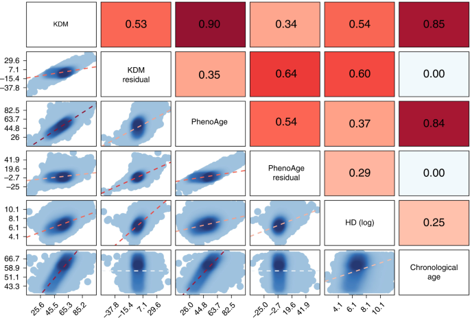 Clinical Biomarker Based Biological Aging And Risk Of Cancer In The UK   10.1038 S41416 023 02288 W.PNG