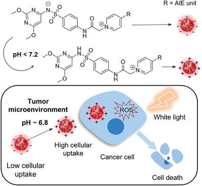 Development Of Sulfonamide-Functionalized Charge-Reversal AIE ...