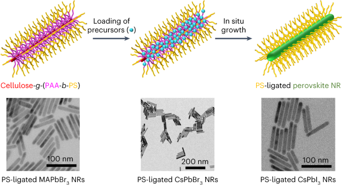 Metal Halide Perovskite Nanorods With Tailored Dimensions, Compositions ...