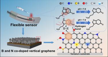 Flexible B, N Co-doped Graphene Electrodes For Electrochemical ...