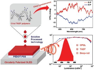 Chiral TADF Polymers Realizing Highly-Efficient Deep-Red Circularly ...