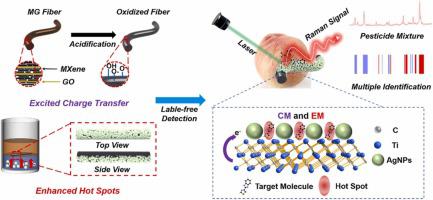 Efficient Multiplexed Label-free Detection By Flexible MXene/graphene ...