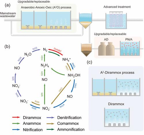 Tapping The Potential Of Wastewater Treatment With Direct Ammonia ...