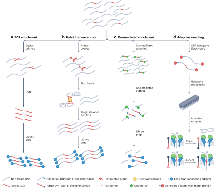 超越组装：单分子测序技术的灵活性不断提高,Nature Reviews Genetics - X-MOL