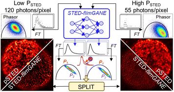 Spatial Resolution Enhancement In Photon-starved STED Imaging Using ...