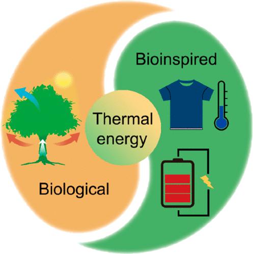 Biological And Bioinspired Thermal Energy Regulation And Utilization