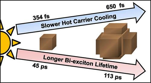 Hot Carrier Cooling and Biexciton Dynamics of Anisotropic-Shaped