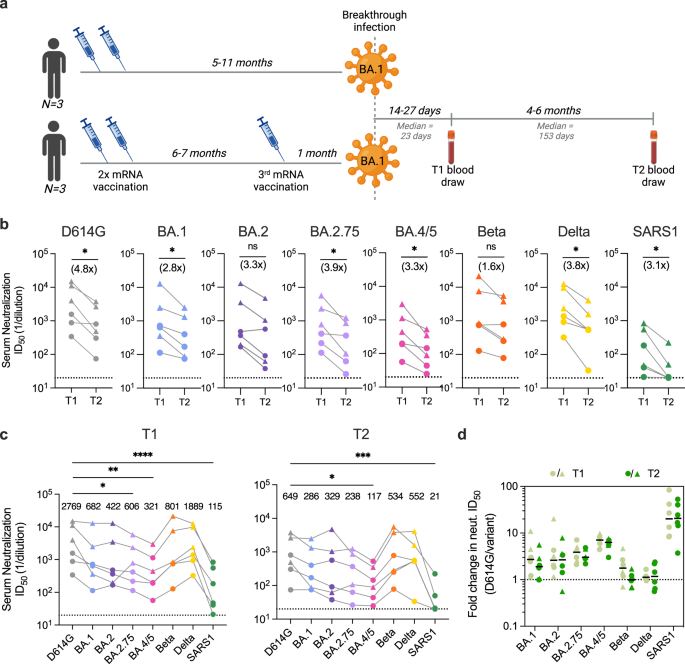 Evolution Of Antibody Immunity Following Omicron BA.1 Breakthrough ...