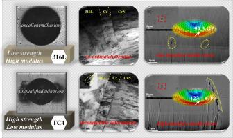 Interface Feature Via Key Factor On Adhesion Of CrN Multilayer And ...