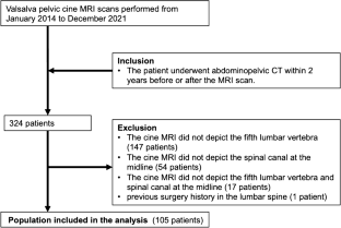 Relationship between lumbar spinal stenosis and cauda equina movement ...