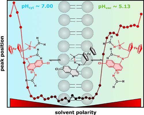 Investigations On The Novel Antimalarial Ferroquine In Biomimetic ...