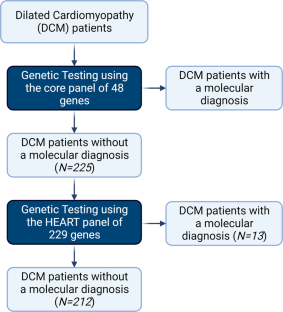 Diagnostic and prognostic relevance of using large gene panels in the ...