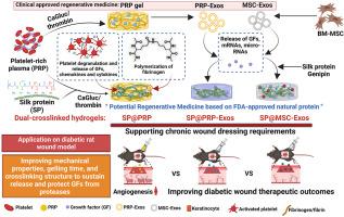 Engineering homologous platelet-rich plasma, platelet-rich plasma ...