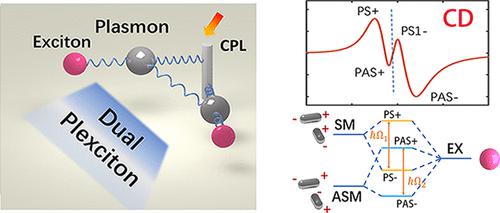 Plasmon–Exciton Strong Coupling Effects Of The Chiral Hybrid ...