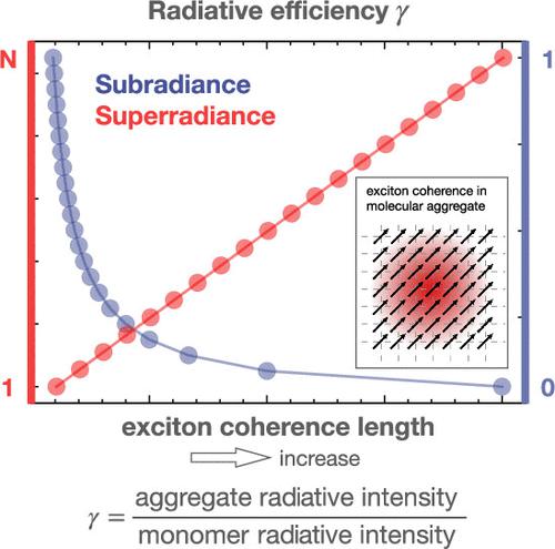 Unified Definition of Exciton Coherence Length for Exciton–Phonon