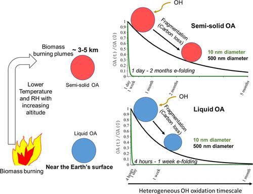 Modeling the Impact of the Organic Aerosol Phase State on Multiphase OH ...