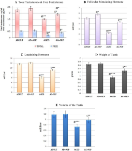 Aging induced testicular damage analyzing the ameliorative