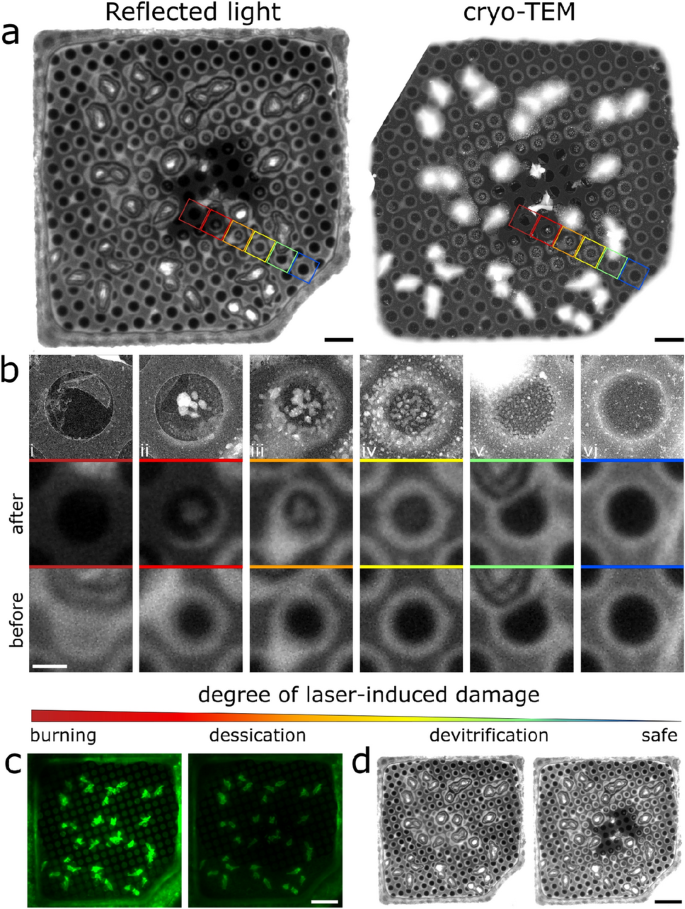 Selecting Optimal Support Grids For Super-resolution Cryogenic ...