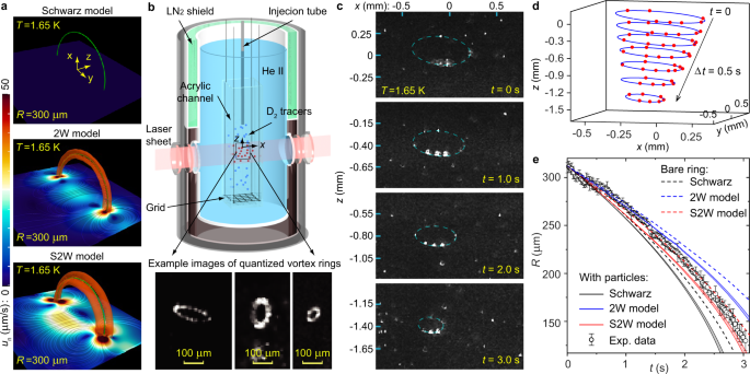 Imaging Quantized Vortex Rings In Superfluid Helium To Evaluate Quantum