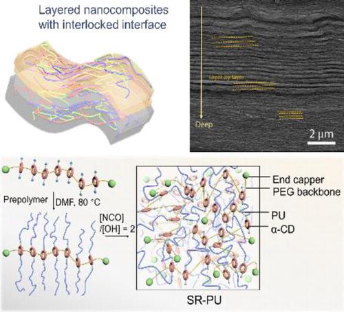 Strong, Supertough And Self-Healing Biomimetic Layered Nanocomposites ...