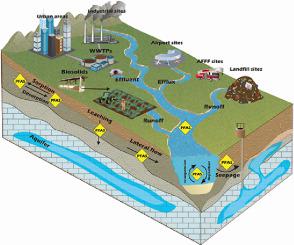 Watershed Scale PFAS Fate And Transport Model For Source Identification ...