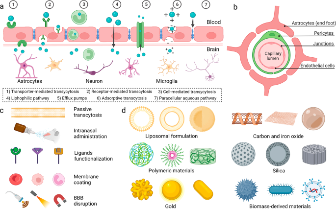 Signal Transduction And Targeted Therapy X Mol