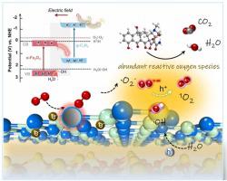 Synergistic Enhancement Of Photocatalytic Molecular Oxygen Activation ...