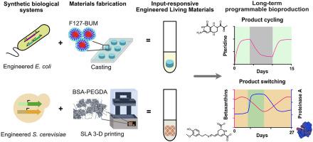 Compartmentalized microbes and co-cultures in hydrogels for on-demand  bioproduction and preservation