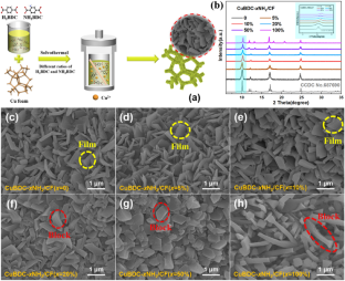 Amino group promoted photoelectrocatalytic CO2 reduction activity ...