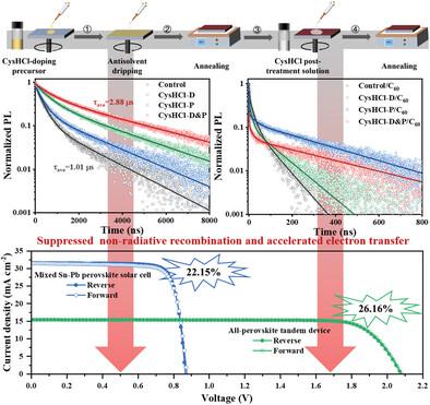 Improved Carrier Management Via A Multifunctional Modifier For High ...