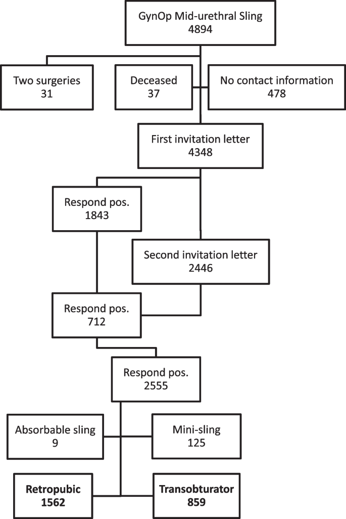 Retropubic slings are more efficient than transobturator at 10-year ...